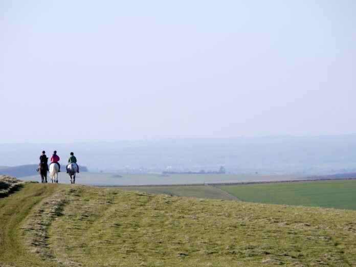 Photo course 5 km beginner