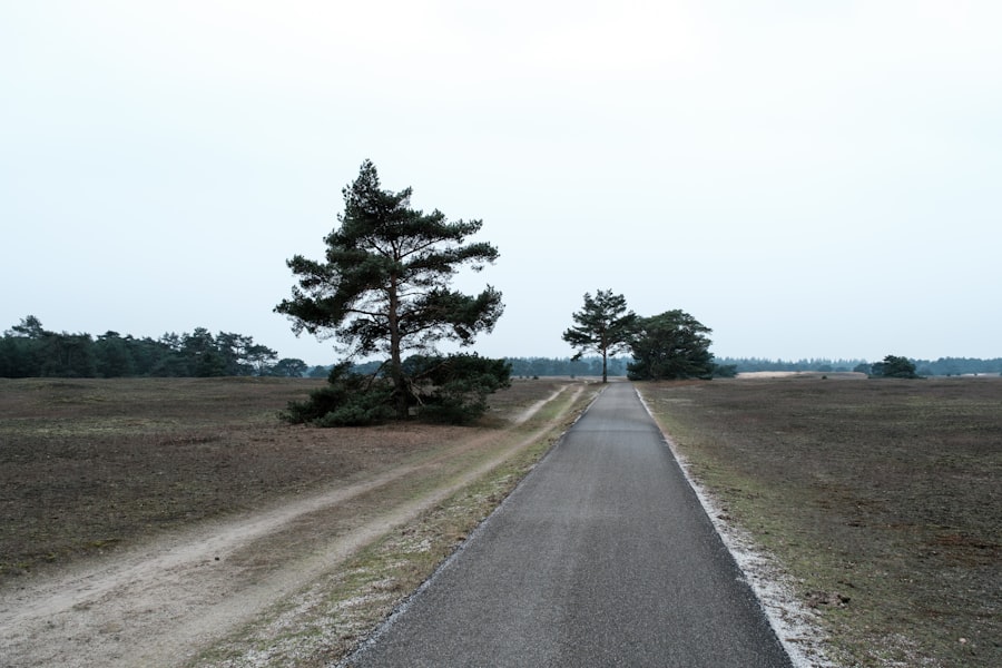 Photo course 5 km beginner