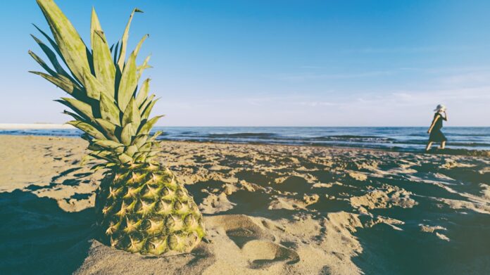 Photo fruit anti stress